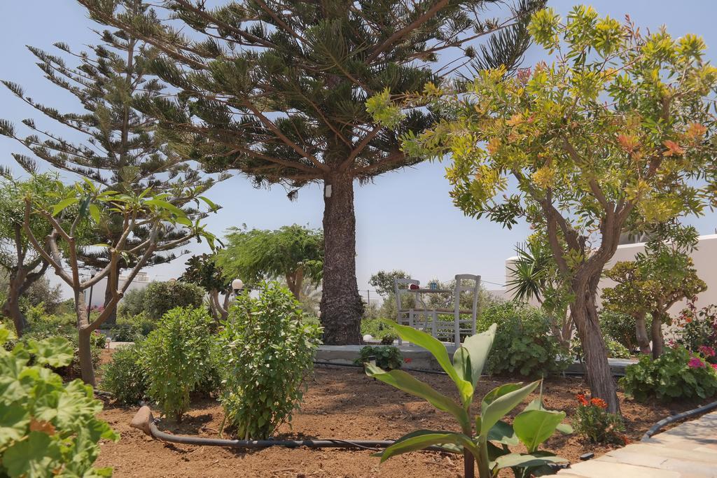 Maroussa Studios Agia Anna  エクステリア 写真